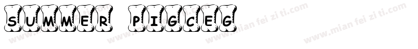 summer pigceg字体转换